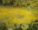 竹内淳子油絵作品-題名-檸檬は爆発の時を待っている。